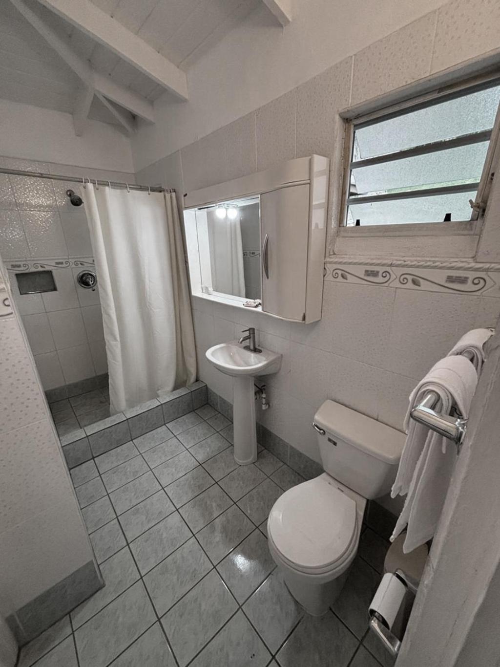 Halcyon Heights Condominium Dickenson Bay 外观 照片